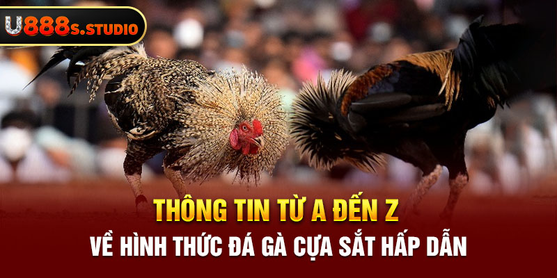 Thông Tin Từ A Đến Z Về Hình Thức Đá Gà Cựa Sắt Hấp Dẫn