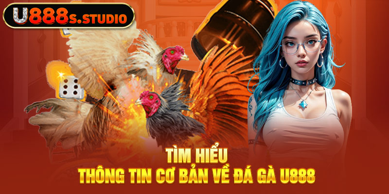 Tìm hiểu thông tin cơ bản về đá gà U888