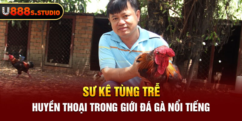 Sư Kê Tùng Trễ - Huyền Thoại Trong Giới Đá Gà Nổi Tiếng