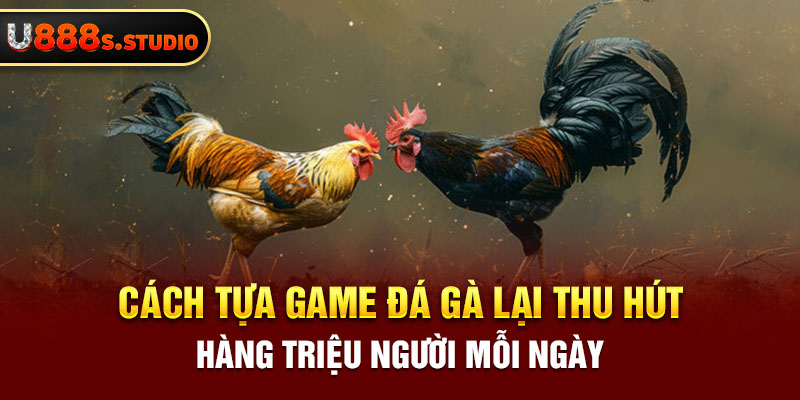 Cách tựa game đá gà lại thu hút hàng triệu người mỗi ngày